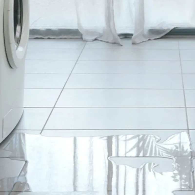 Appliance Leak Cleanup in Manhattan, IL
