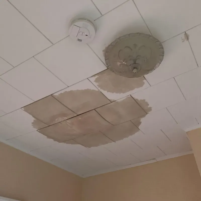 Ceiling Water Damage Repair in Manhattan, IL