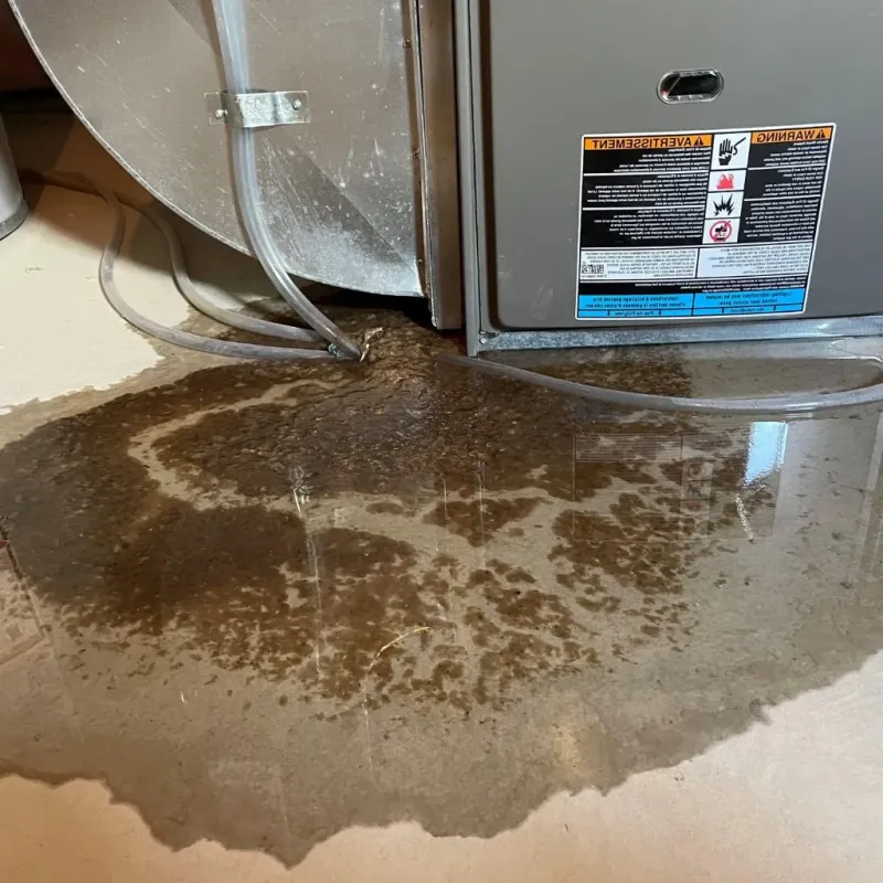 Pipe Burst and Leak Restoration in Manhattan, IL