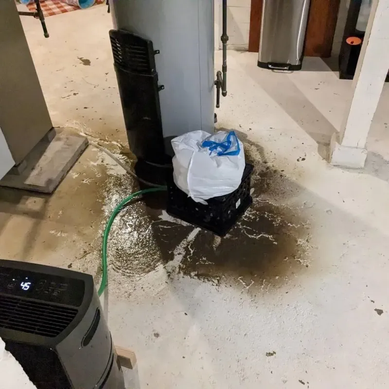 Sewage Backup Cleanup Service in Manhattan, IL